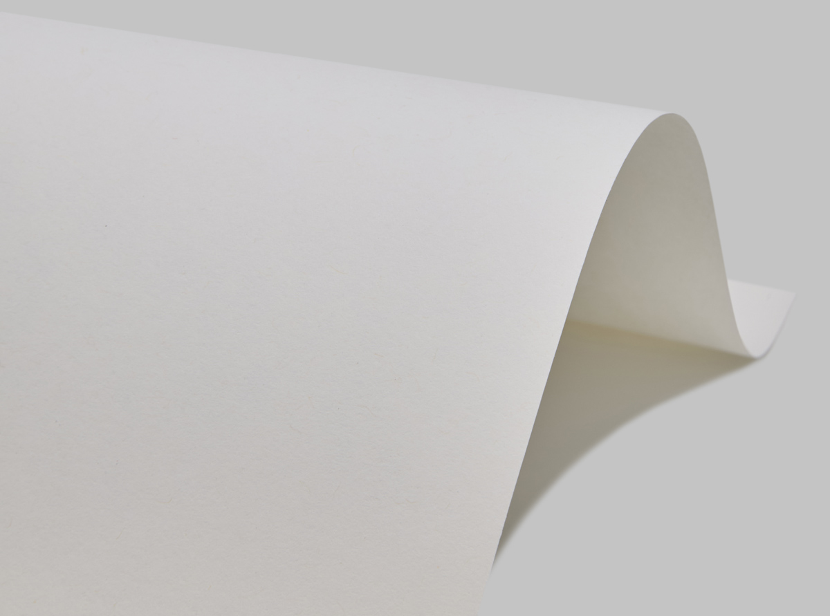 120-70X100-250-L SHIRO ECHO WHITE БЕЛЫЙ бумага