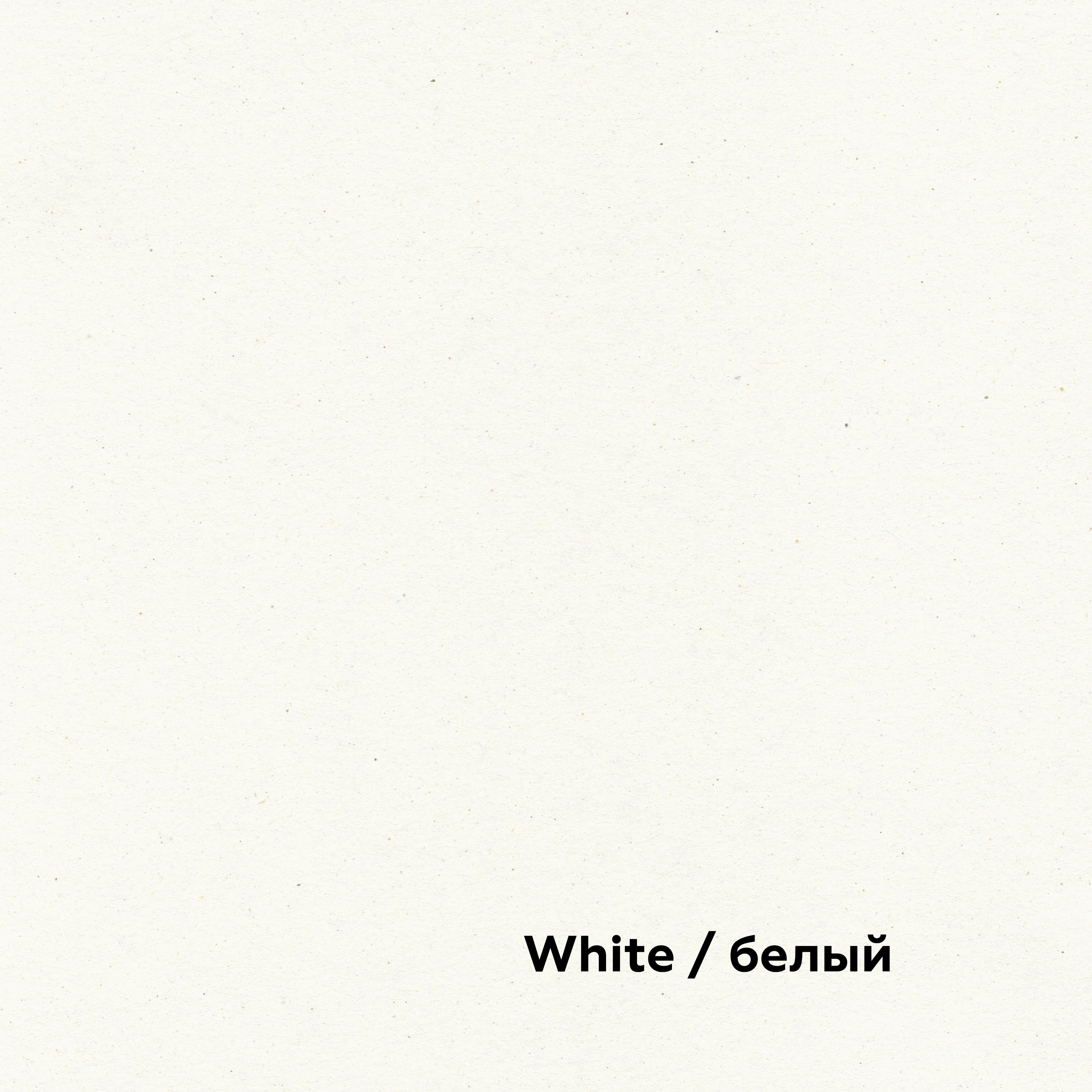 160-70X100-125-L SHIRO ECHO WHITE БЕЛЫЙ картон