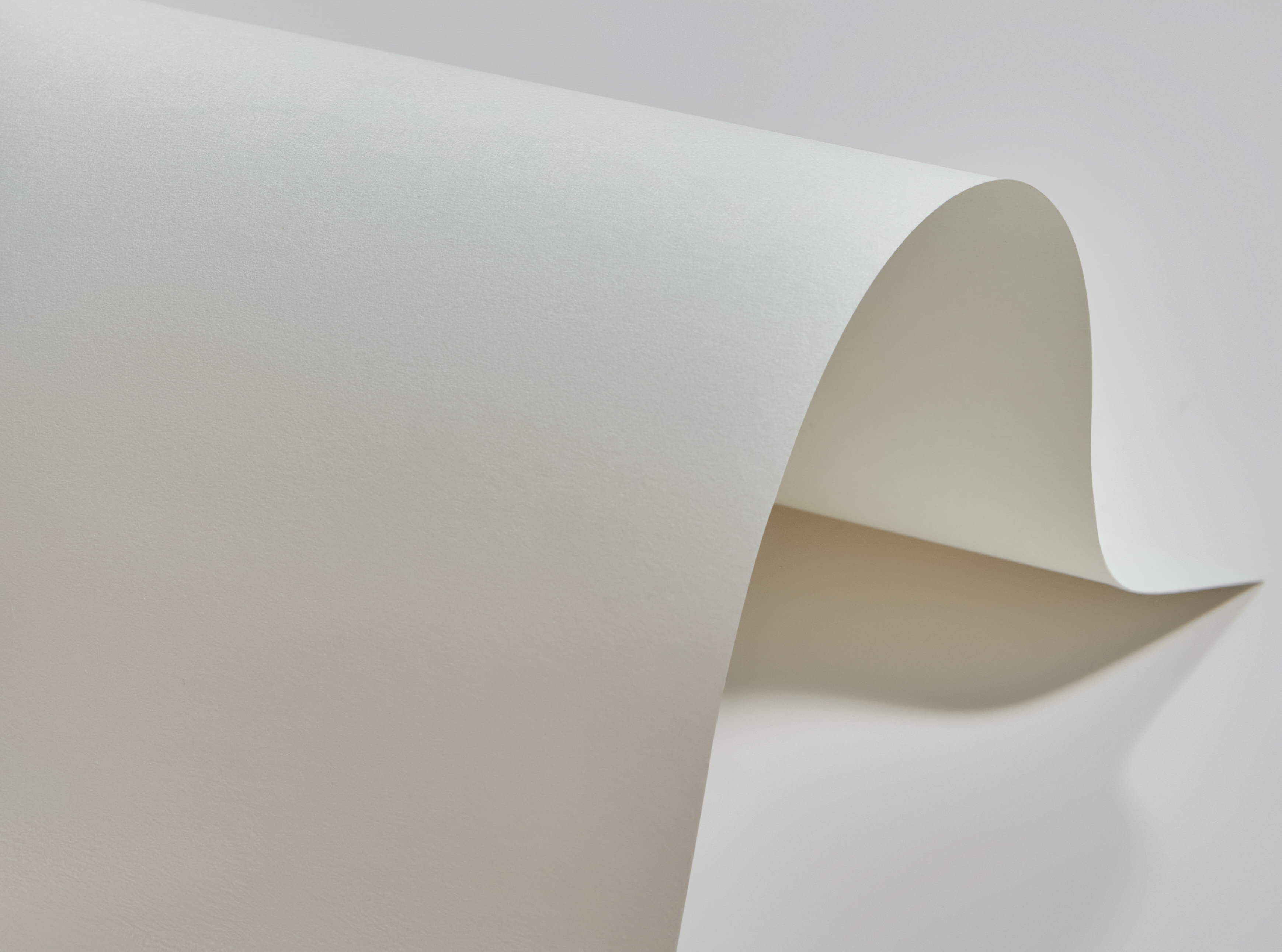 300-787X1092-100-L BAMBOO Слоновая кость картон